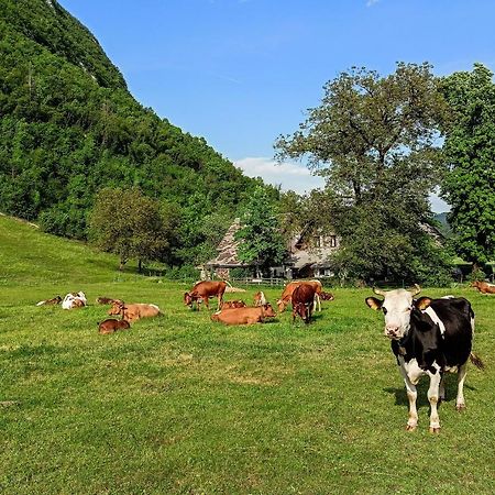Charming Blacksmith'S House @ Lake Bohinj Exteriér fotografie