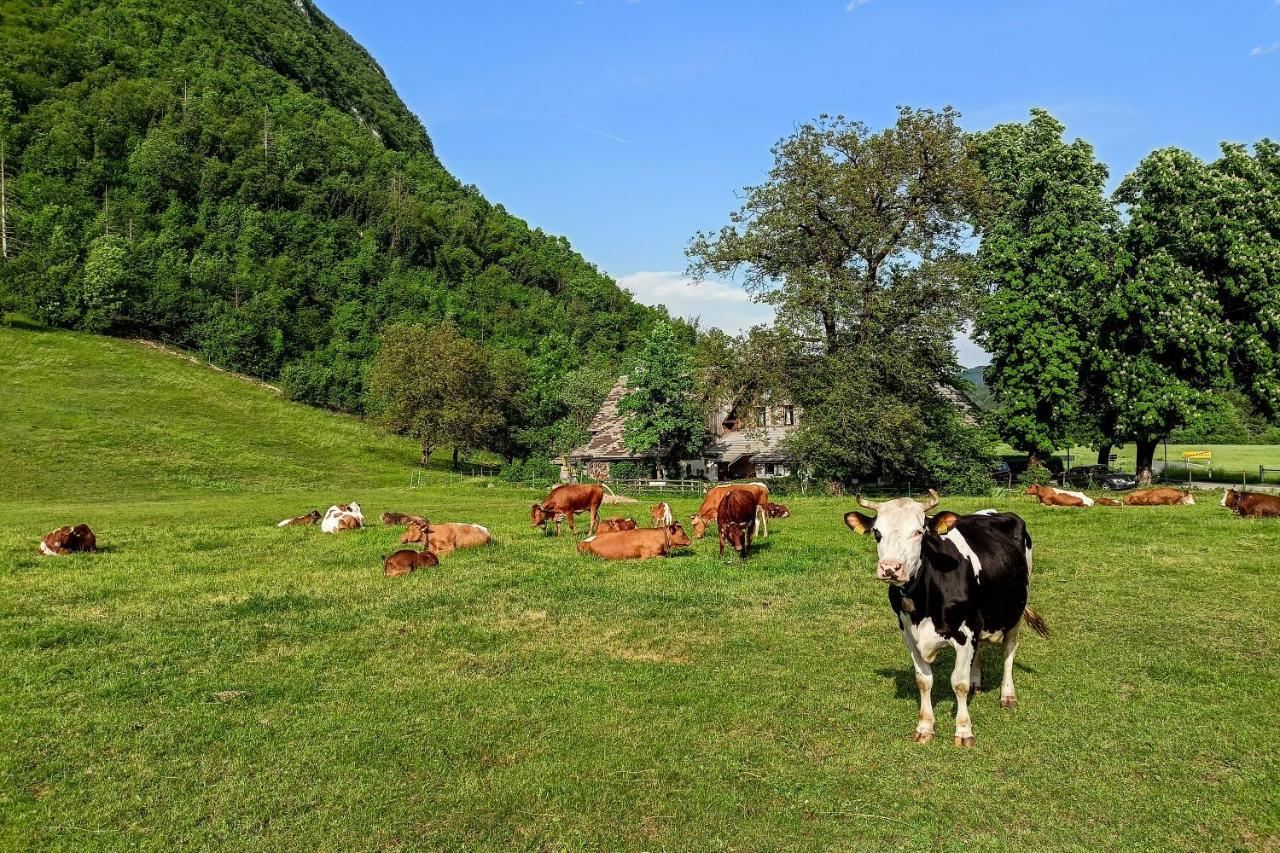 Charming Blacksmith'S House @ Lake Bohinj Exteriér fotografie
